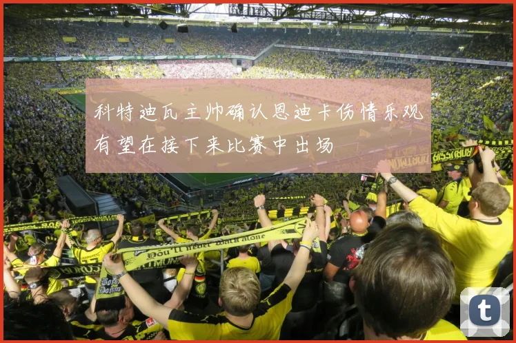 科特迪瓦主帅确认恩迪卡伤情乐观有望在接下来比赛中出场