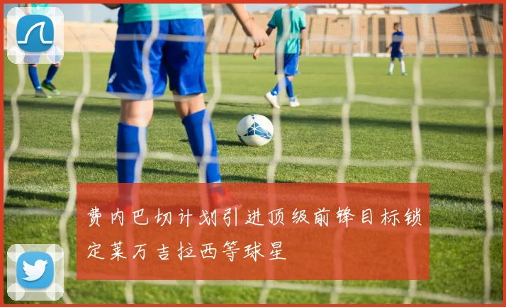 费内巴切计划引进顶级前锋目标锁定莱万吉拉西等球星