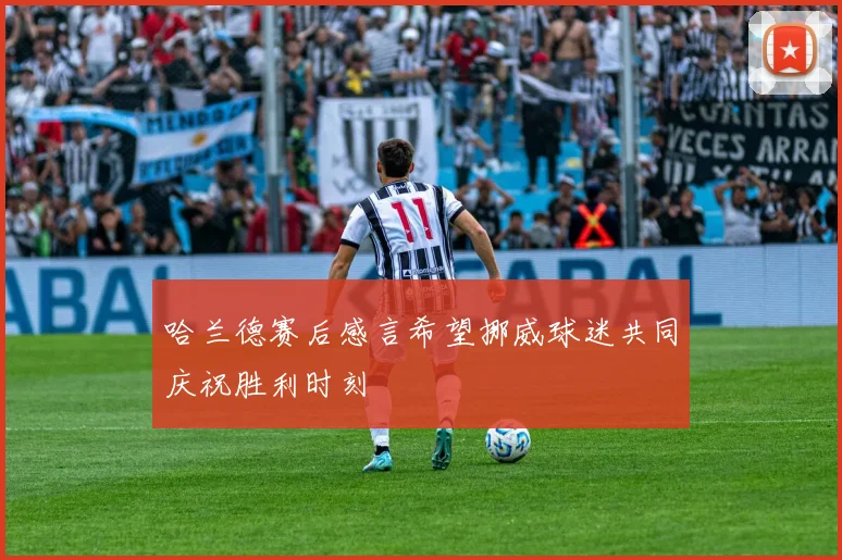 哈兰德赛后感言希望挪威球迷共同庆祝胜利时刻