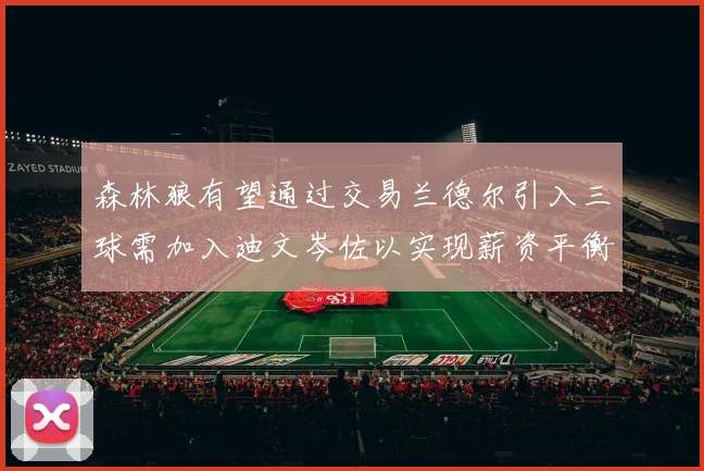 森林狼有望通过交易兰德尔引入三球需加入迪文岑佐以实现薪资平衡